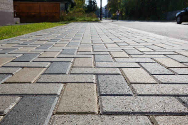 Best Residential Driveway Paver Services  in Savage, MN